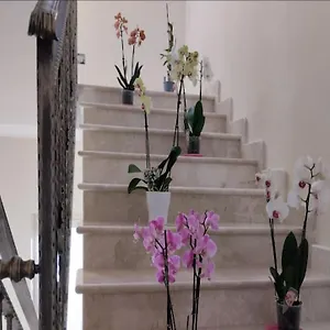 3* Affittacamere Daphnae House